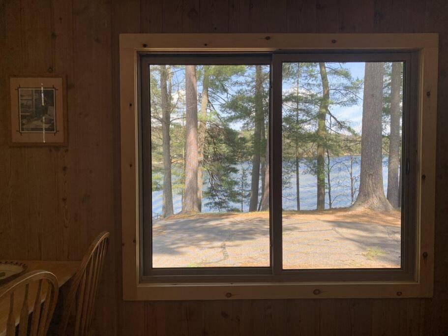 Black Bear Lodge-Bear Trap #3 Saint Germain Екстер'єр фото